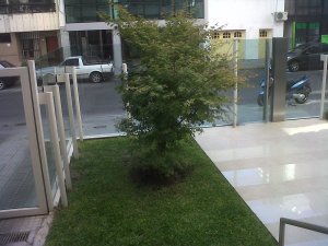 IMG00583-20130419-1426