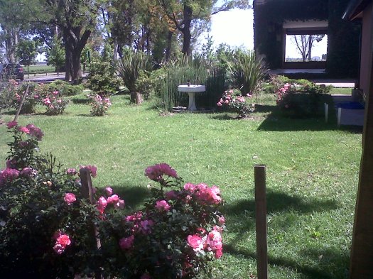 IMG00776-20131112-1033