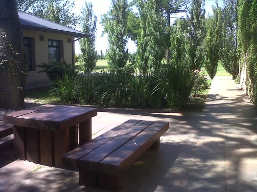 IMG00778-20131112-1033