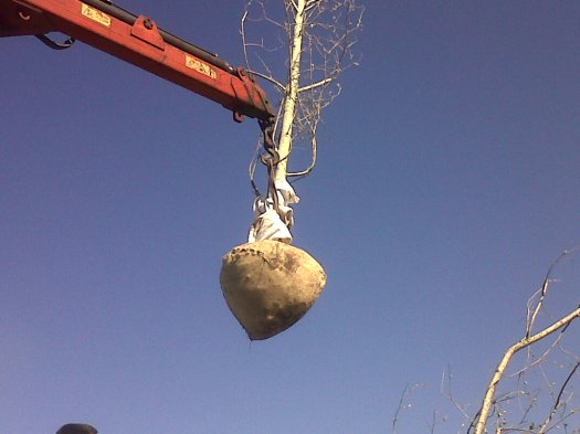 IMG00723-20130924-1041