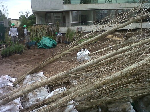 IMG01057-20140715-1244 copia